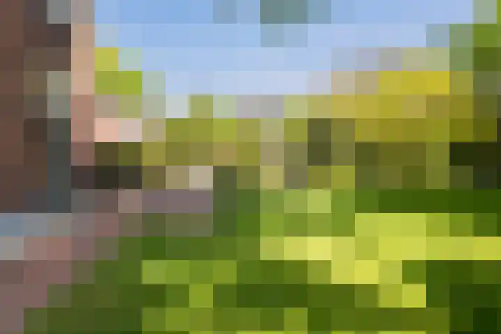 Silvoldseweg 19 Terborg thumbnail 9