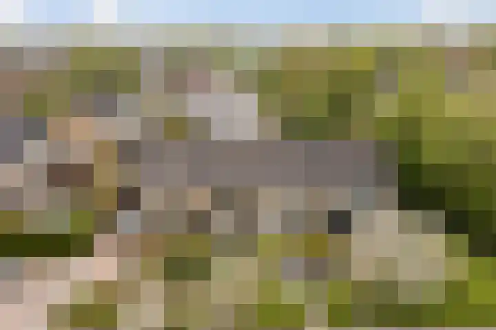 Simke Kloostermanstrjitte 84 in Gytsjerk
