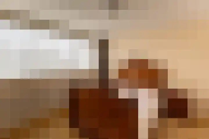 Simke Kloostermanstrjitte 9 Franeker thumbnail 17