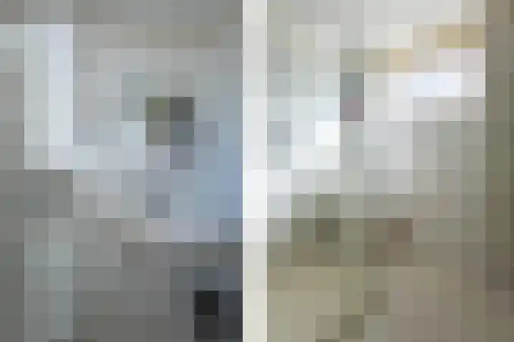 Simke Kloostermanstrjitte 9 Franeker thumbnail 26