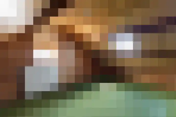 Simke Kloostermanstrjitte 9 Franeker thumbnail 29