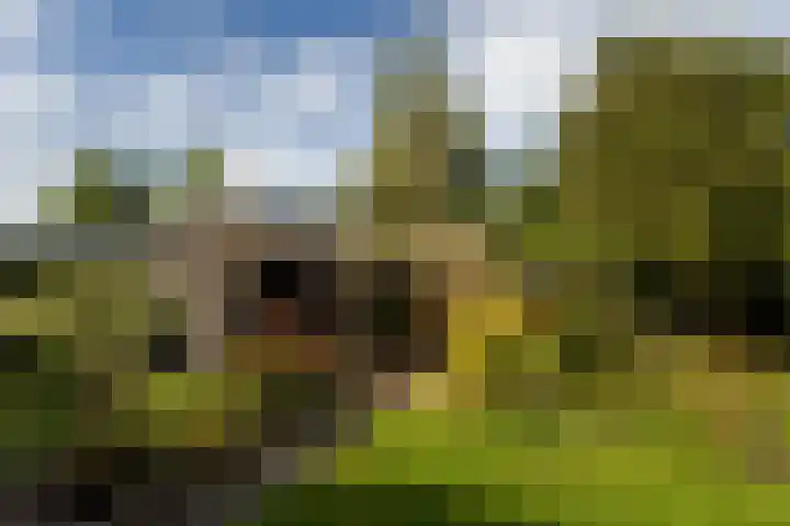 Simke Kloostermanstrjitte 9 Franeker foto 3