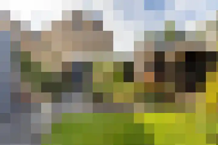 Simke Kloostermanstrjitte 9 Franeker thumbnail 33
