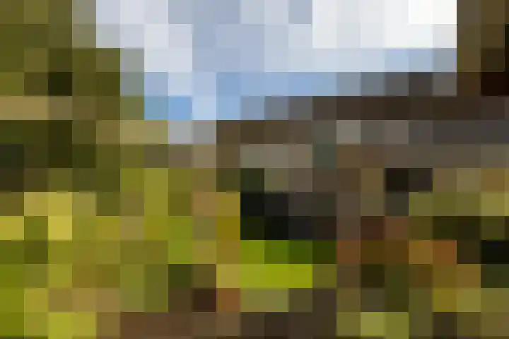 Simke Kloostermanstrjitte 9 Franeker thumbnail 34