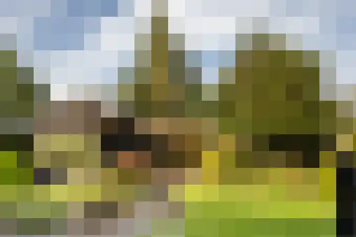 Simke Kloostermanstrjitte 9 Franeker thumbnail 35