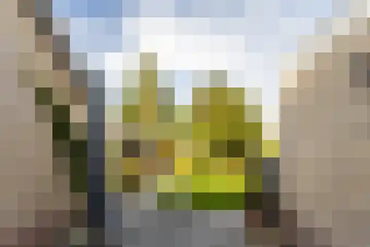 Simke Kloostermanstrjitte 9 Franeker thumbnail 36