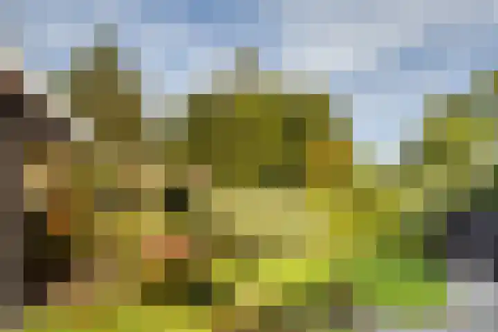 Simke Kloostermanstrjitte 9 Franeker thumbnail 37
