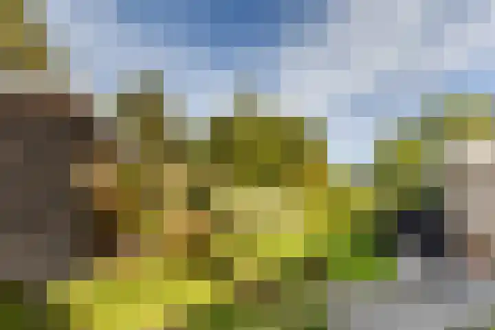 Simke Kloostermanstrjitte 9 Franeker thumbnail 38