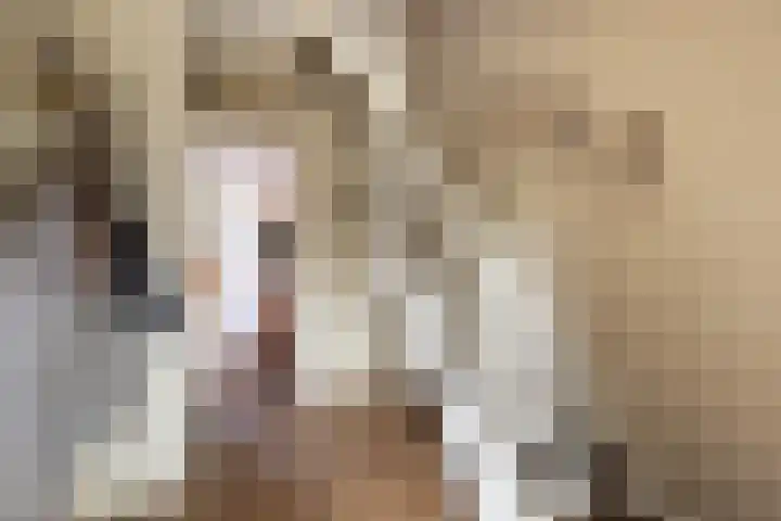 Simke Kloostermanstrjitte 9 Franeker thumbnail 8