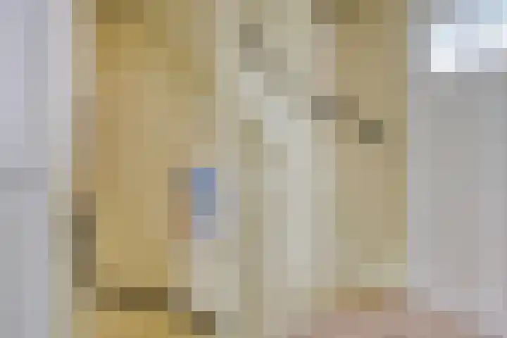 Simmersnie 15 Oudega thumbnail 28