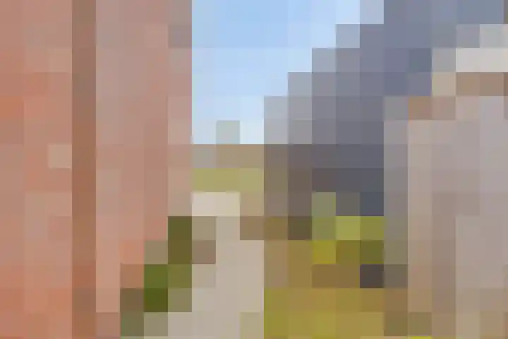 Simmersnie 15 Oudega thumbnail 44