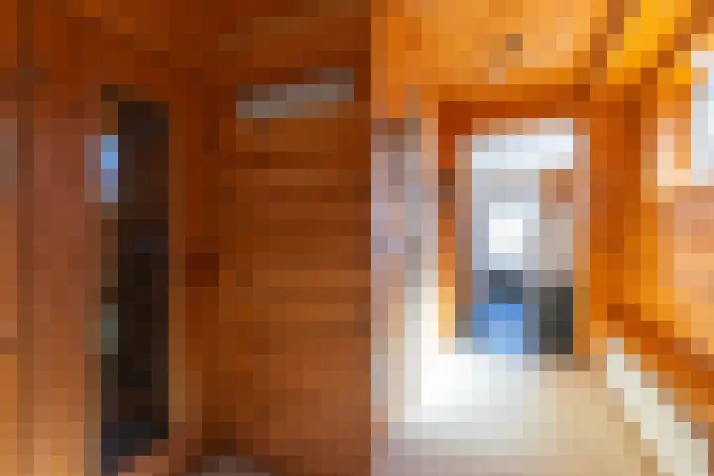 Simon Koopmanstraat 76 Wervershoof thumbnail 14