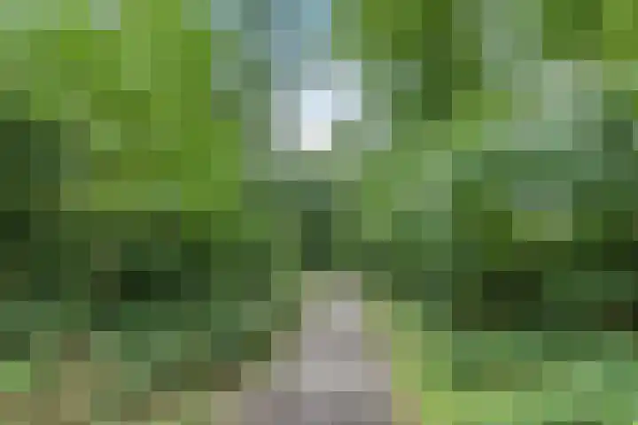 Simon Stevinlaan 116 Soesterberg thumbnail 32