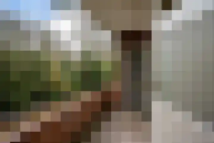 Simon Stevinlaan 15 Soesterberg thumbnail 11
