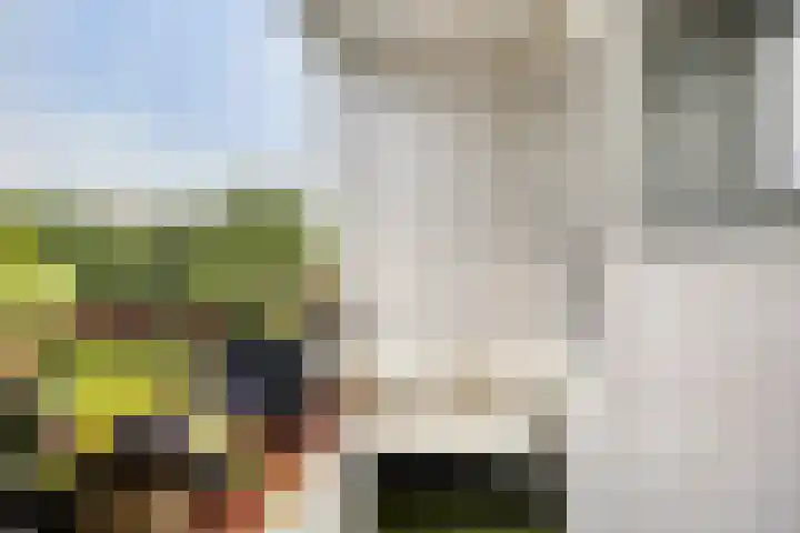Simon Stevinlaan 20 Soesterberg thumbnail 17