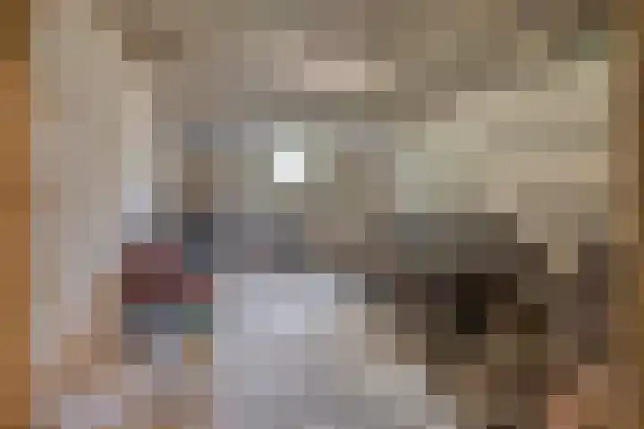Simon Stevinlaan 24 Soesterberg thumbnail 25