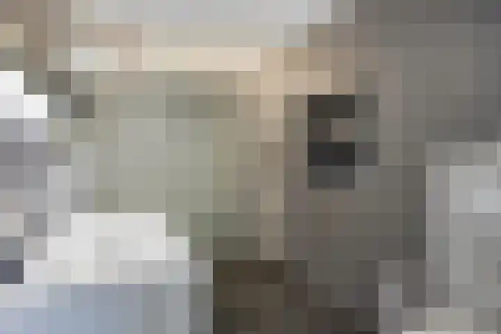 Simon Stevinstraat 38 Tilburg thumbnail 23