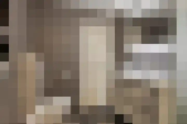 Simon Stevinstraat 38 Tilburg thumbnail 25