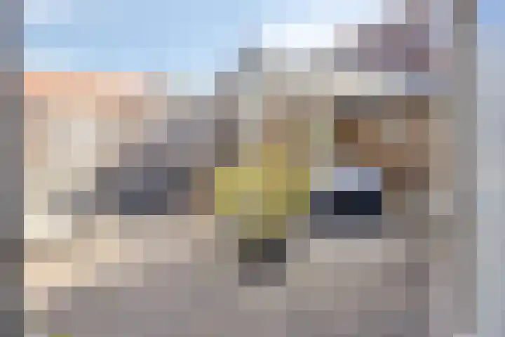Simon Stevinstraat 38 Tilburg thumbnail 33