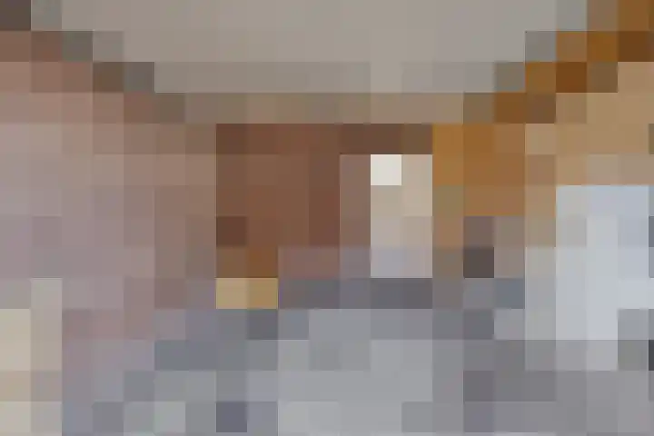 Simon Stevinstraat 38 Tilburg thumbnail 39