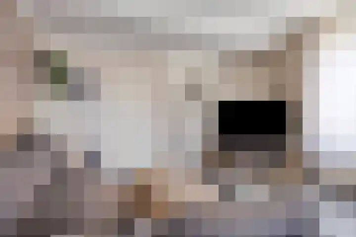 Simon Stevinstraat 38 Tilburg thumbnail 6