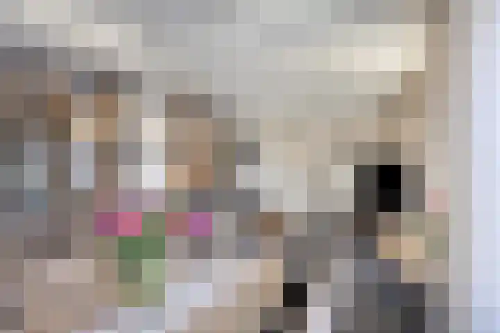 Simon Stevinstraat 38 Tilburg thumbnail 9