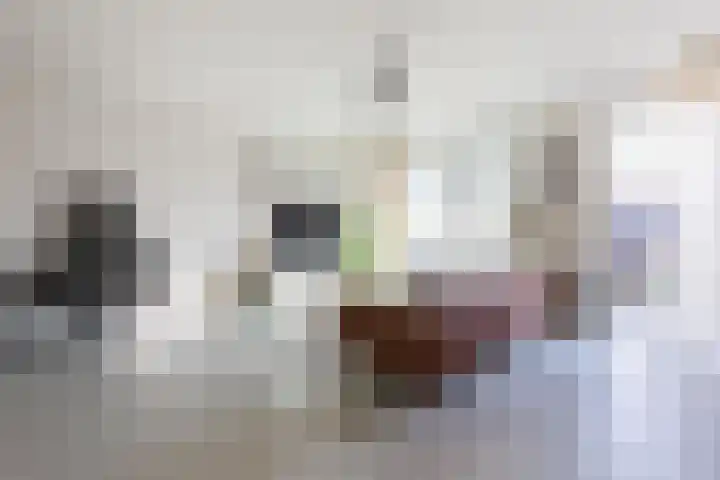 Simon Stevinstraat 55 Amstelveen thumbnail 9