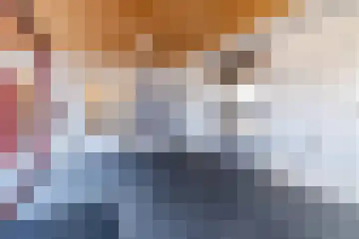 Simon Vestdijklaan 5 Delft thumbnail 7