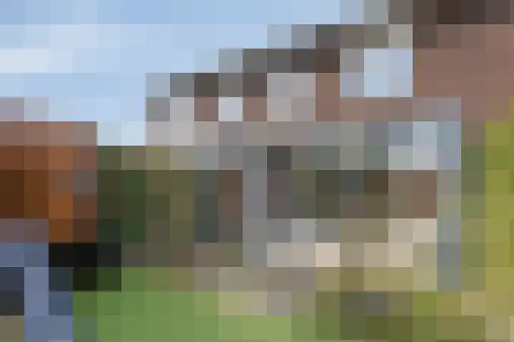 Simon Vestdijkstraat 20 Duiven thumbnail 39