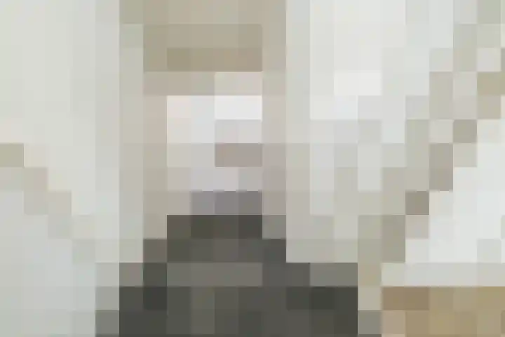 Simondsstraat 12 Genemuiden thumbnail 9