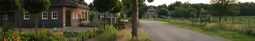 Team foto van Simons en Partners