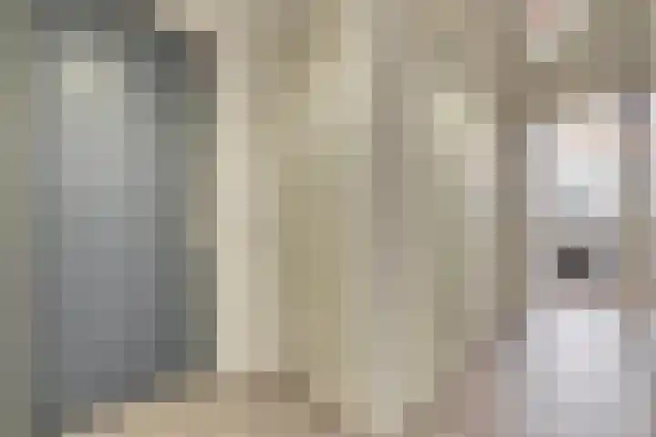 Simonsstraat 103 D Delft thumbnail 13