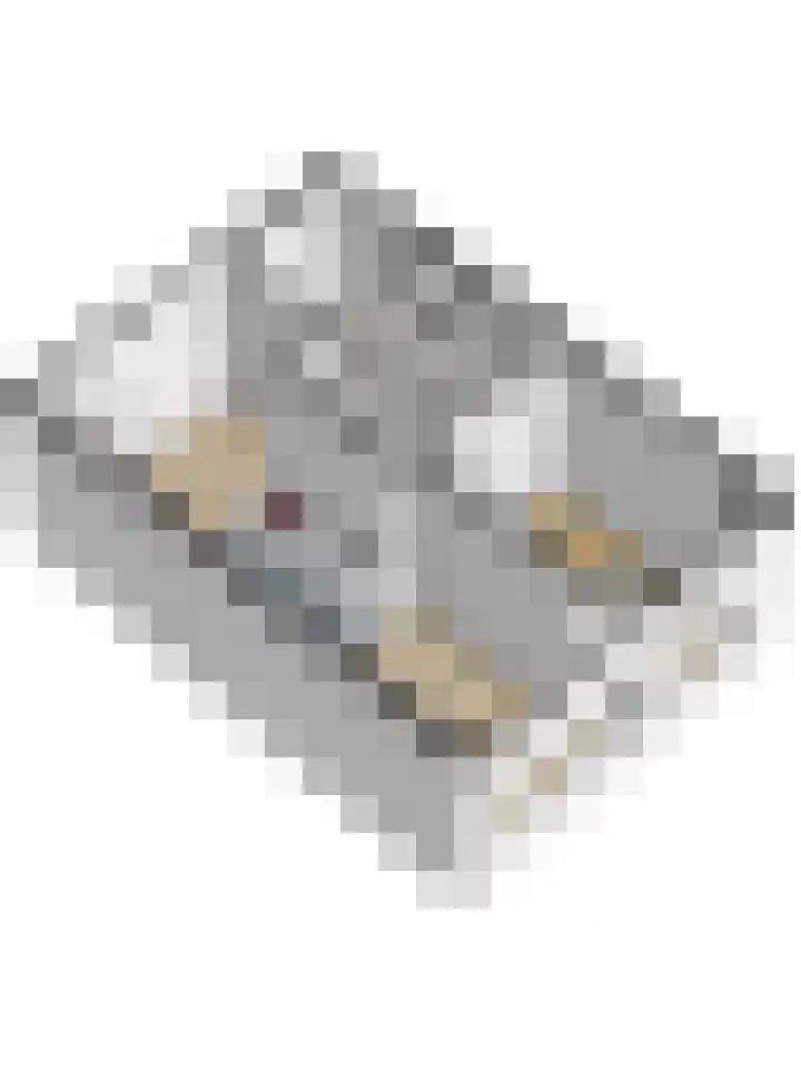 Simonsstraat 103 D Delft thumbnail 36