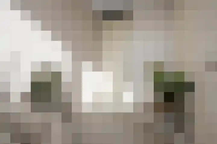 Simonszand 3 Heemskerk thumbnail 35