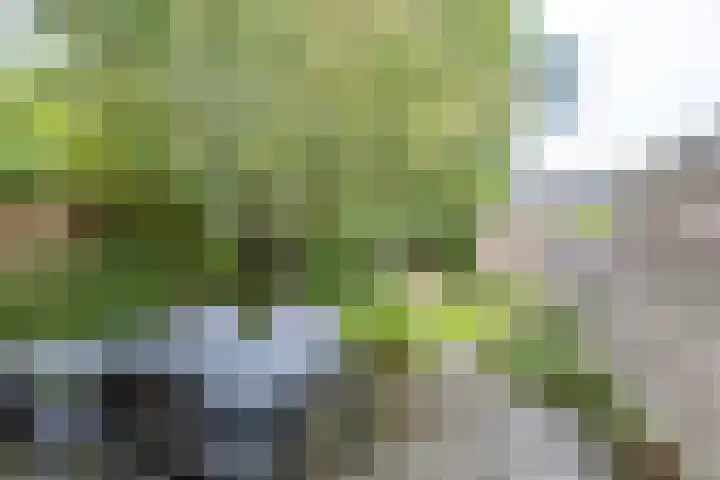 Simplonbaan 308 Utrecht thumbnail 37