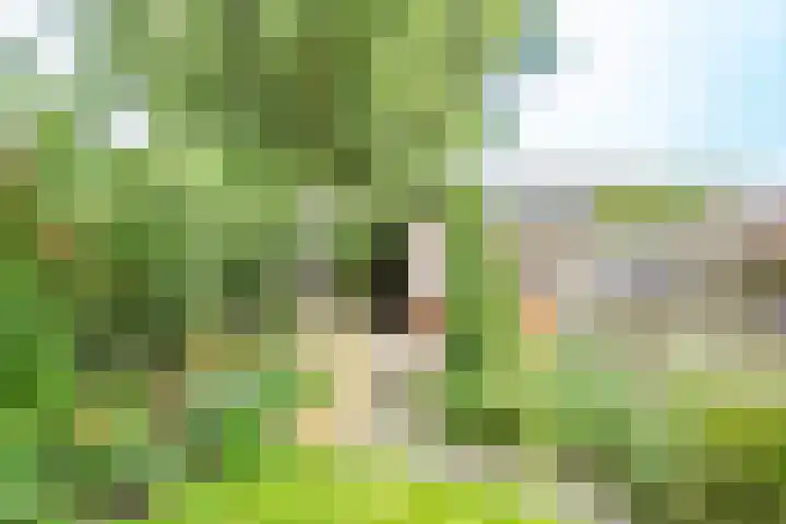 Simplonbaan 308 Utrecht thumbnail 38