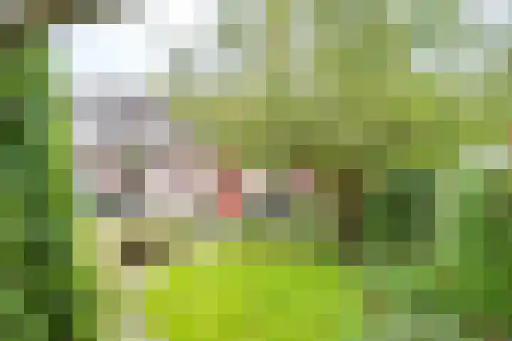 Simplonbaan 308 Utrecht thumbnail 40