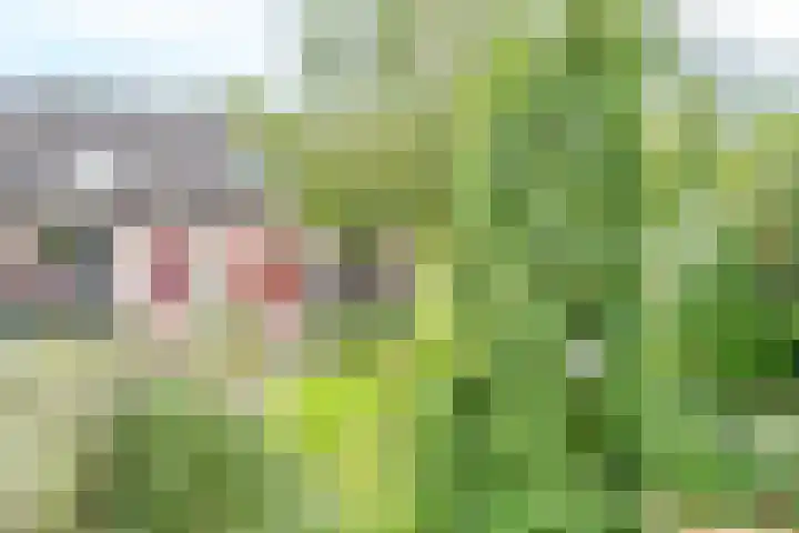 Simplonbaan 308 Utrecht thumbnail 41