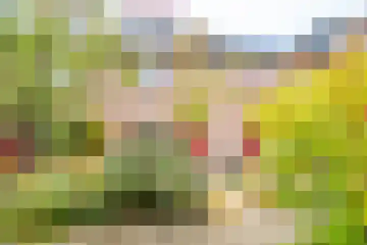 Simplonbaan 308 Utrecht thumbnail 44