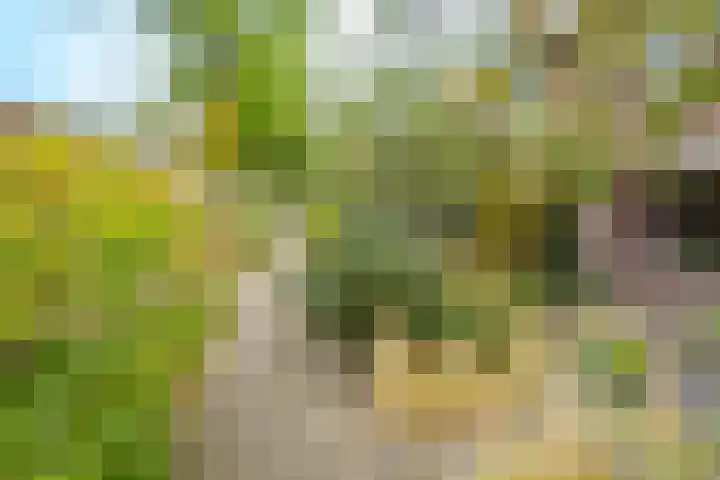 Simplonbaan 308 Utrecht thumbnail 47