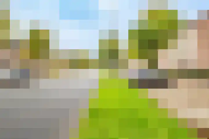 Simplonbaan 308 Utrecht thumbnail 49