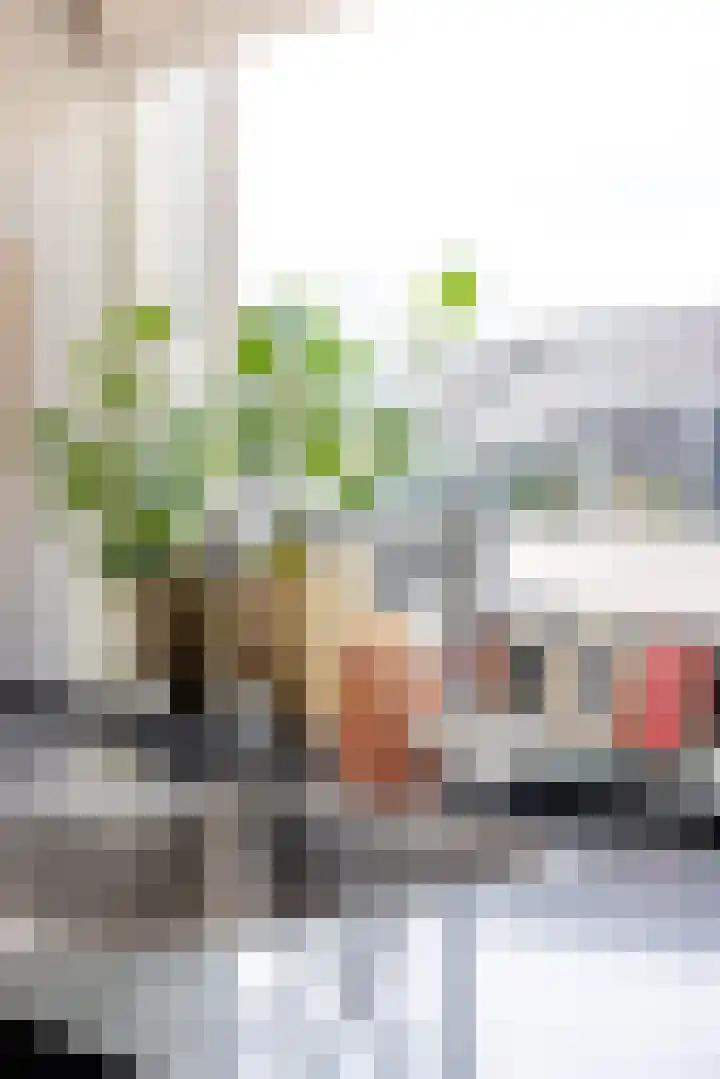 Singel 1 A Noordeloos thumbnail 14