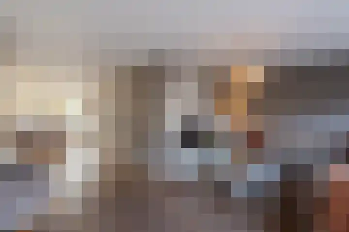 Singel 1 A Noordeloos thumbnail 20