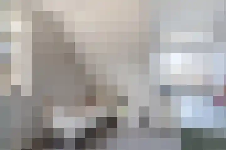 Singel 1 A Noordeloos thumbnail 22