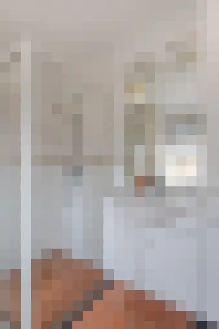 Singel 1 A Noordeloos thumbnail 28