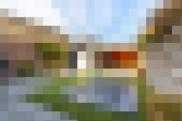 Singel 1 A Noordeloos thumbnail 31