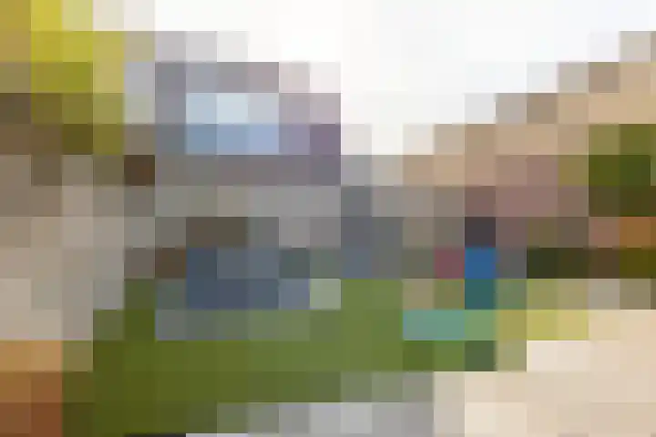 Singel 1 A Noordeloos thumbnail 33