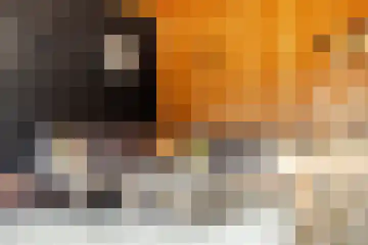 Singel 1 A Noordeloos thumbnail 37
