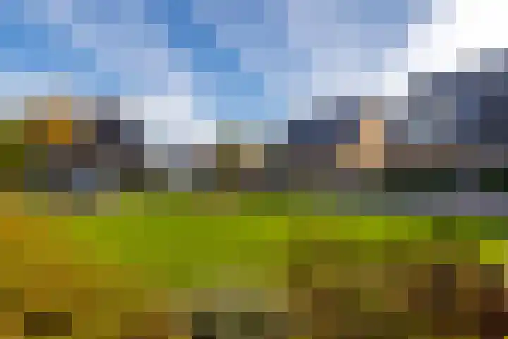 Singel 1 A Noordeloos thumbnail 39
