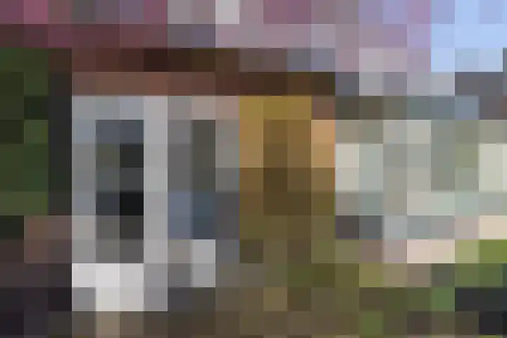 Singel 1 Blaricum thumbnail 13